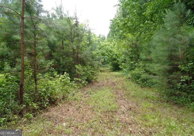 Photo 4 of House for sale at 2411 Kesler Rd, Carnesville, GA 30521 | MLS# 10783678 | Listing updated on 2026-09-03