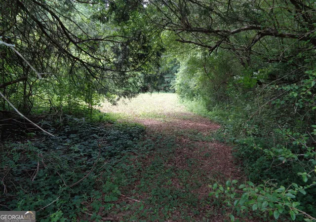 62nd image of 2411 Kesler Rd, Carnesville, GA 30521 | MLS# 10783678