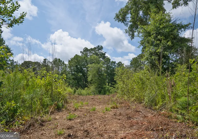 Homes for sale in Culloden, GA | 21 Askin Pl, Culloden, GA 31016 | MLS# 10802335