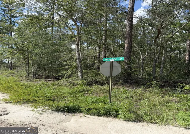 23rd image of 113 Horseshoe Loop, St. George, GA 31562 | MLS# 10824229