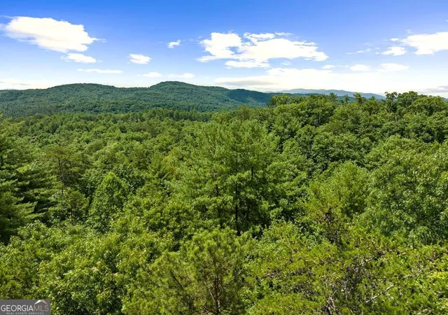 53rd image of 9 Kensington Dr, Mineral Bluff, GA 30559 | MLS# 10801186