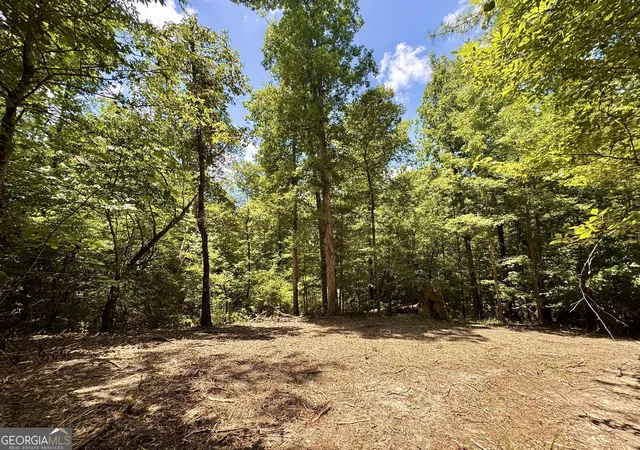 1st image of 2 Roy Lawrence Rd, Sparta, GA 31087 | MLS# 10818702
