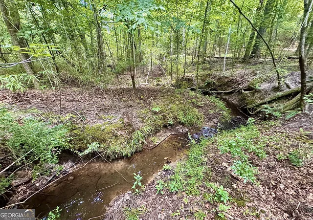 Photo 1 of Land for sale at 2 Roy Lawrence Rd, Sparta, GA 31087 | MLS# 10818702 | Listing updated on 2026-09-29