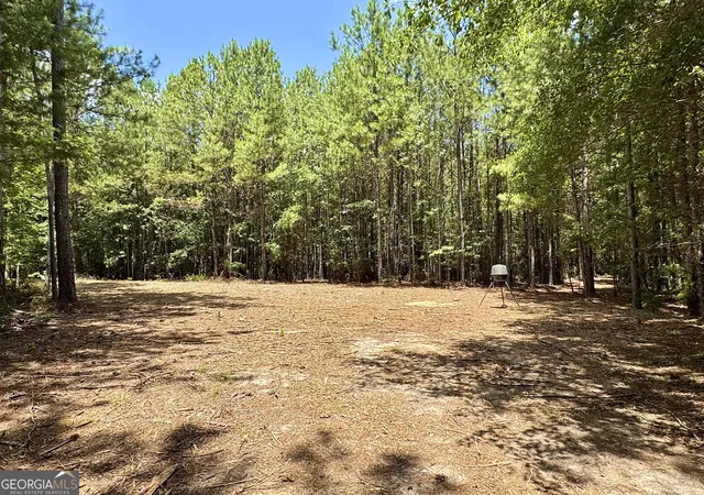 Photo 3 of Land for sale at 2 Roy Lawrence Rd, Sparta, GA 31087 | MLS# 10818702 | Listing updated on 2026-09-29