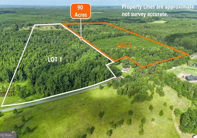 Land for sale at 0 Roddy Hwy, Eastman, GA 31023 | MLS# 10820210