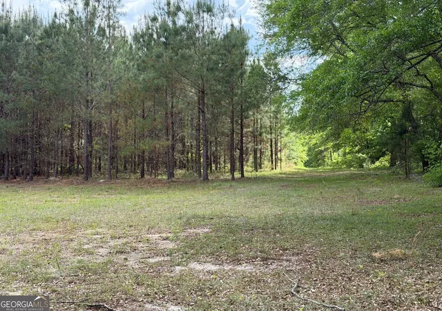 Photo 1 of Land for sale at 0 Roddy Hwy, Eastman, GA 31023 | MLS# 10820210 | Listing updated on 2026-08-20