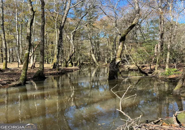 Photo 2 of Land for sale at 0 Roddy Hwy, Eastman, GA 31023 | MLS# 10820210 | Listing updated on 2026-08-20