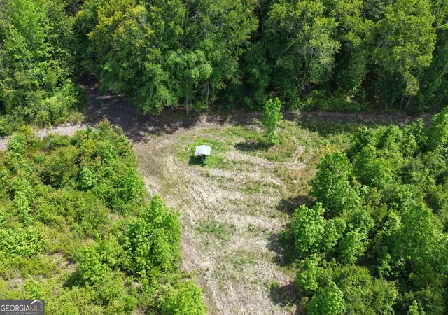 Photo 4 of Land for sale at 0 Roddy Hwy, Eastman, GA 31023 | MLS# 10820210 | Listing updated on 2026-08-20