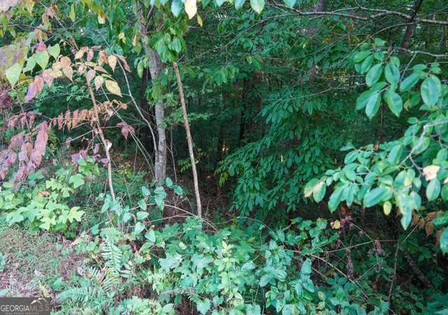 14th image of 0 Bannockburn, Clayton, GA 30525 | MLS# 10615821