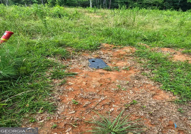 11th image of 5 Lots Rome St & Driver St, Temple, GA 30179 | MLS# 10784872