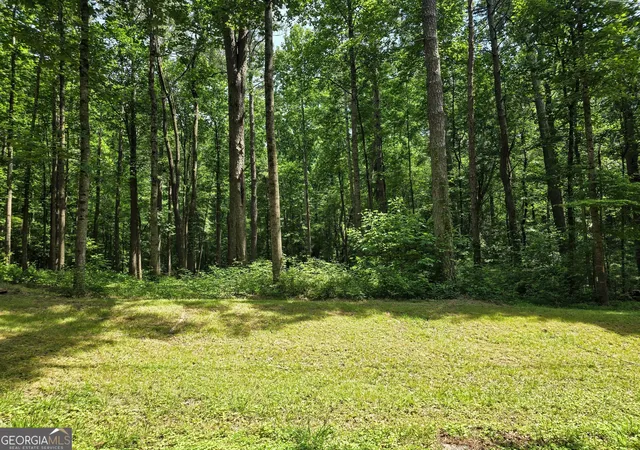 3rd image of 5 Lots Rome St & Driver St, Temple, GA 30179 | MLS# 10784872