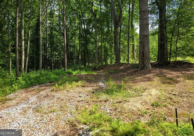 4th image of 5 Lots Rome St & Driver St, Temple, GA 30179 | MLS# 10784872