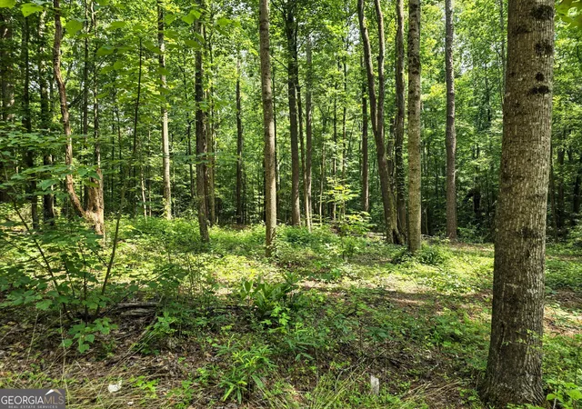 5th image of 5 Lots Rome St & Driver St, Temple, GA 30179 | MLS# 10784872