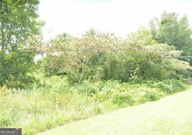 Photo 2 of Land for sale at 0 Gunn Rd, Byron, GA 31008 | MLS# 10811829 | Listing updated on 2026-08-06