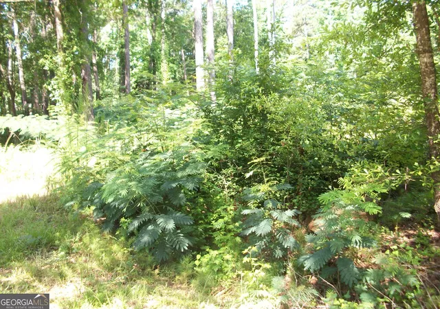Photo 2 of Land for sale at 43 Shady Ln, Jackson, GA 30233 | MLS# 10549135 | Listing updated on 2026-06-23
