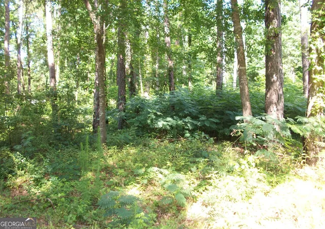 Photo 3 of Land for sale at 43 Shady Ln, Jackson, GA 30233 | MLS# 10549135 | Listing updated on 2026-06-23