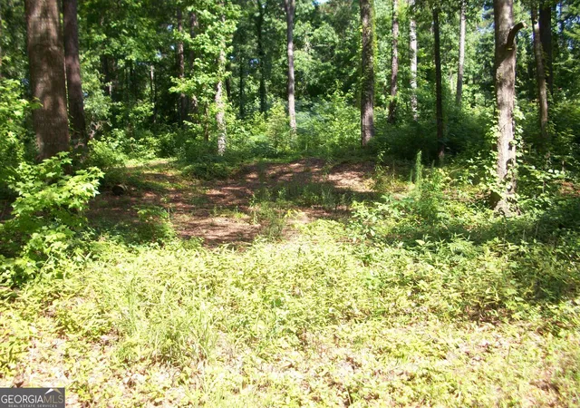 Photo 3 of Land for sale at 43 Shady Ln, Jackson, GA 30233 | MLS# 10549135 | Listing updated on 2026-06-23