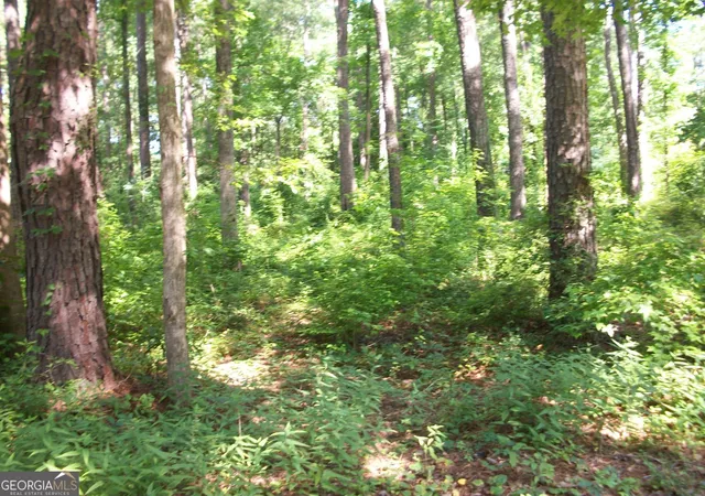 Photo 4 of Land for sale at 43 Shady Ln, Jackson, GA 30233 | MLS# 10549135 | Listing updated on 2026-06-23