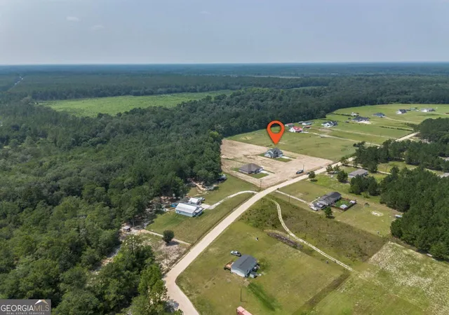 59th image of 523 S T Morris Rd Ne, Ludowici, GA 31316 | MLS# 10818422