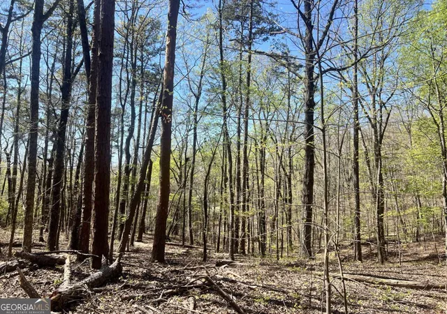 Photo 1 of Sale Pending at Lot 93 Doll Mountain Rd, Ellijay, GA 30540 | MLS# 10742582 | Listing updated on 2026-09-30