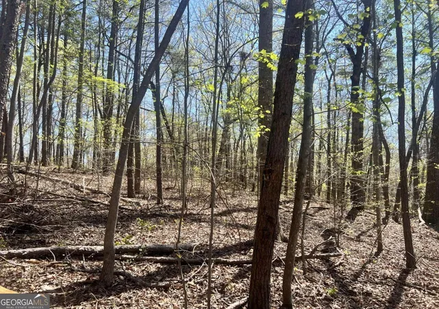 Photo 2 of Sale Pending at Lot 93 Doll Mountain Rd, Ellijay, GA 30540 | MLS# 10742582 | Listing updated on 2026-09-30