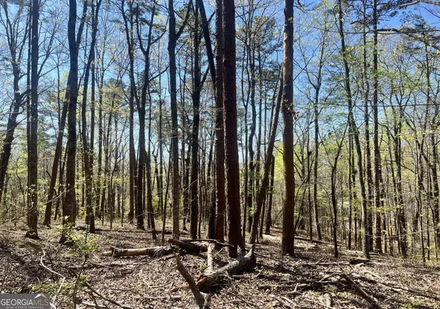 Photo 3 of Sale Pending at Lot 93 Doll Mountain Rd, Ellijay, GA 30540 | MLS# 10742582 | Listing updated on 2026-09-30
