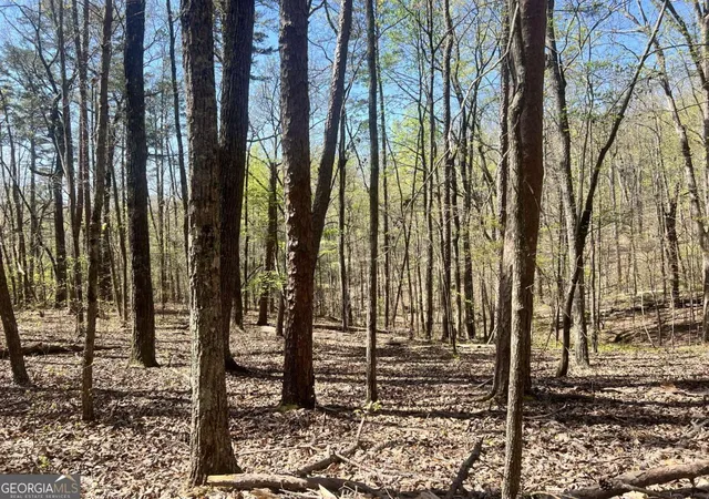 Photo 4 of Sale Pending at Lot 93 Doll Mountain Rd, Ellijay, GA 30540 | MLS# 10742582 | Listing updated on 2026-09-30