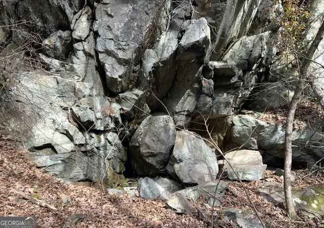 2nd image of 0 Fightingtown Creek, Mc Caysville, GA 30555 | MLS# 10797255