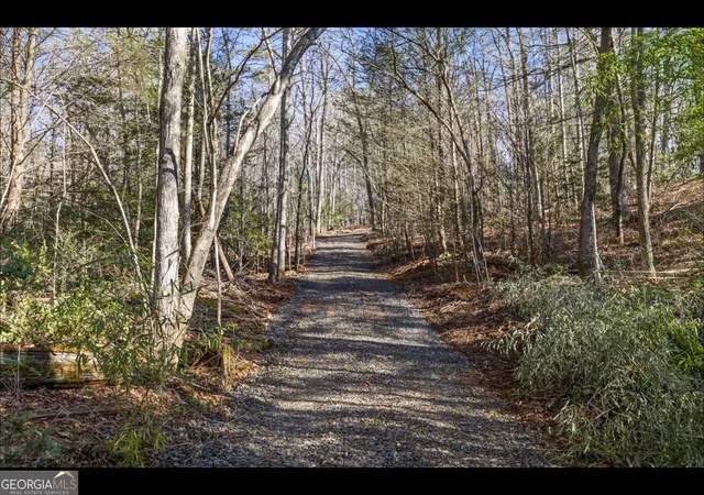 36th image of 0 Fightingtown Creek, Mc Caysville, GA 30555 | MLS# 10797255