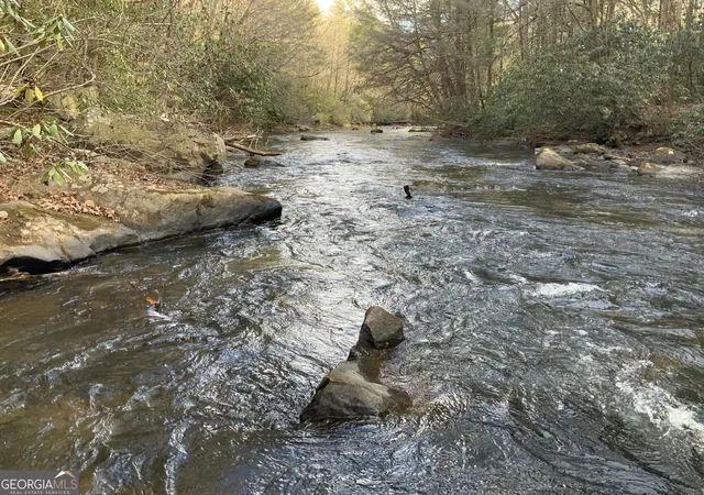 4th image of 0 Fightingtown Creek, Mc Caysville, GA 30555 | MLS# 10797255
