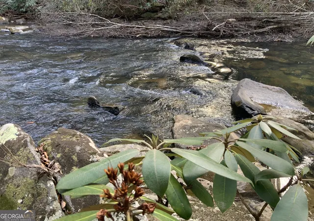 5th image of 0 Fightingtown Creek, Mc Caysville, GA 30555 | MLS# 10797255