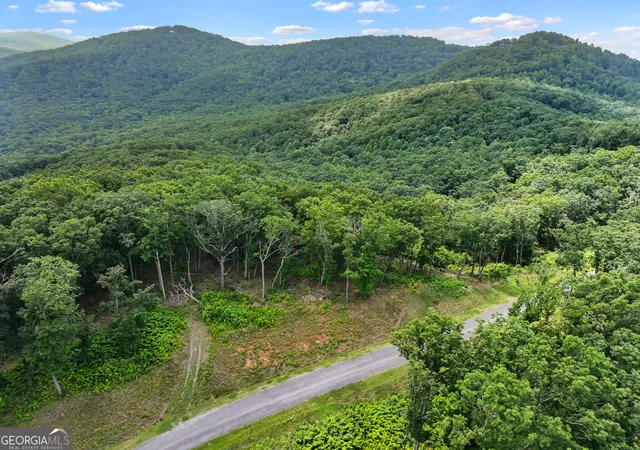 Photo 4 of Land for sale at Lot 53 High Summit Dr, Talking Rock, GA 30175 | MLS# 10810219 | Listing updated on 2026-08-14