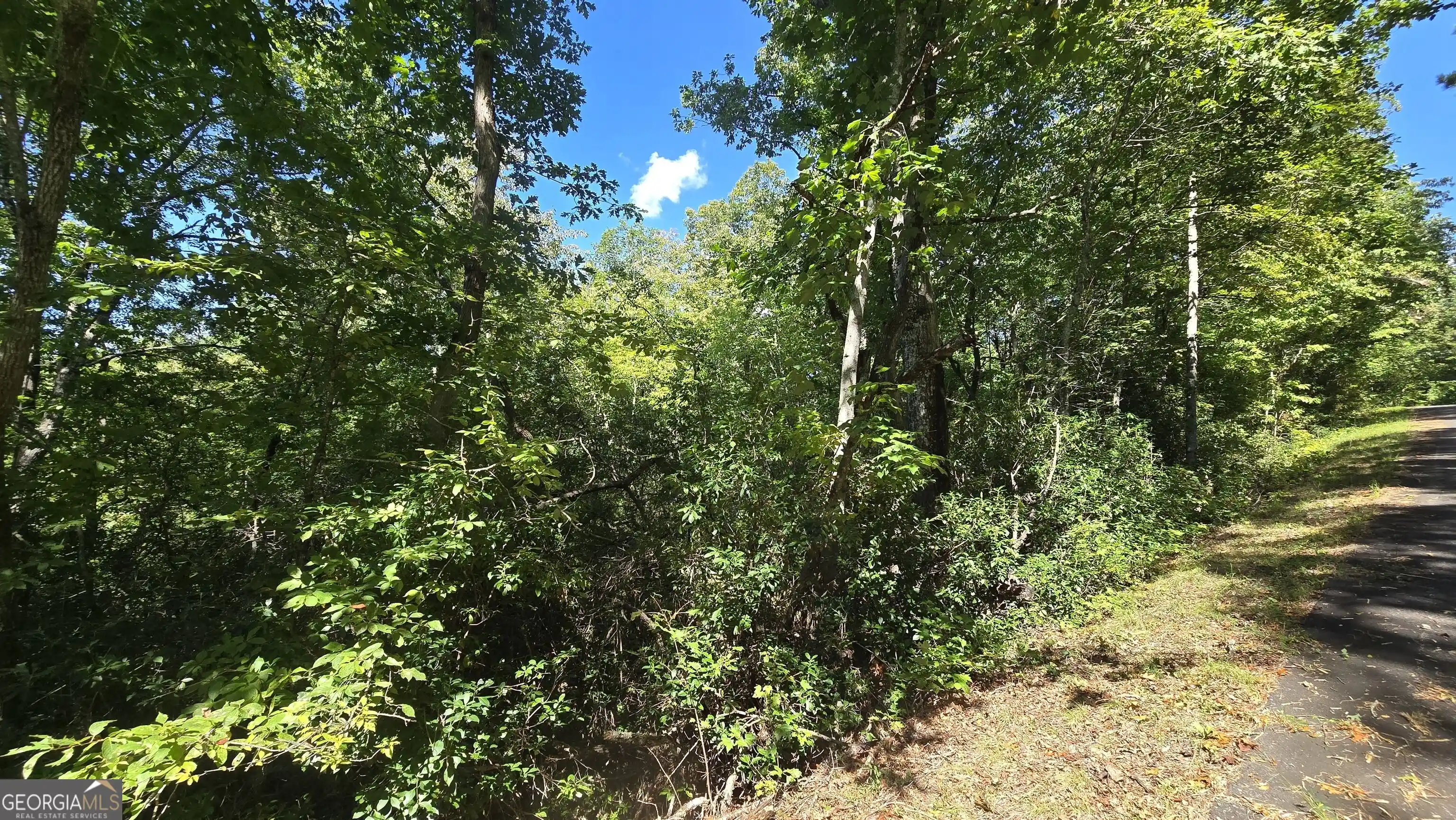 Land for sale at Lot 1b Victoria Woods, Hiawassee, GA 30546 | MLS# 10875241