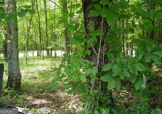 1st image of #13 Dan Knob, Hayesville, NC 28904 | MLS# 10831915