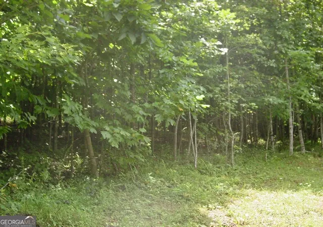 Photo 3 of Land for sale at #13 Dan Knob, Hayesville, NC 28904 | MLS# 10831915 | Listing updated on 2026-09-07