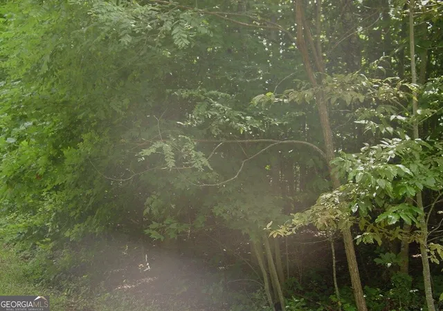 5th image of #13 Dan Knob, Hayesville, NC 28904 | MLS# 10831915