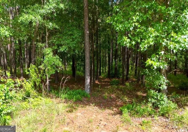 Photo 3 of Land for sale at 331 Pebble Holw Dr, Milledgeville, GA 31061 | MLS# 10791223 | Listing updated on 2026-07-07