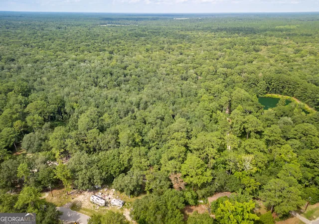 1st image of 920 Pine Needle Dr, Ellabell, GA 31308 | MLS# 10821313