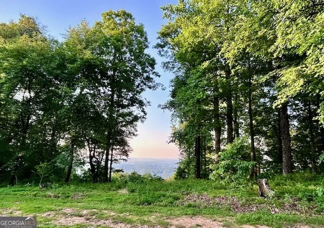 1st image of 0 Mountainside Dr #LOT 17, Cleveland, GA 30528 | MLS# 10731334