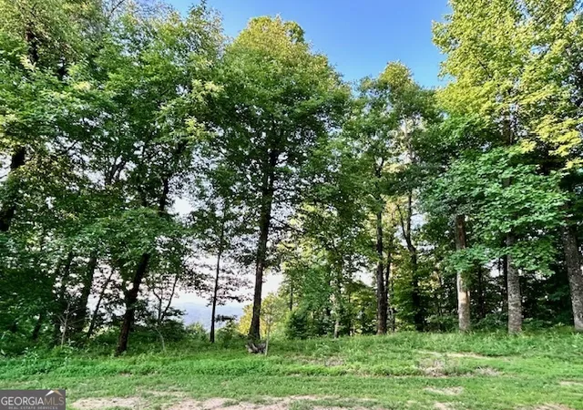 2nd image of 0 Mountainside Dr #LOT 17, Cleveland, GA 30528 | MLS# 10731334