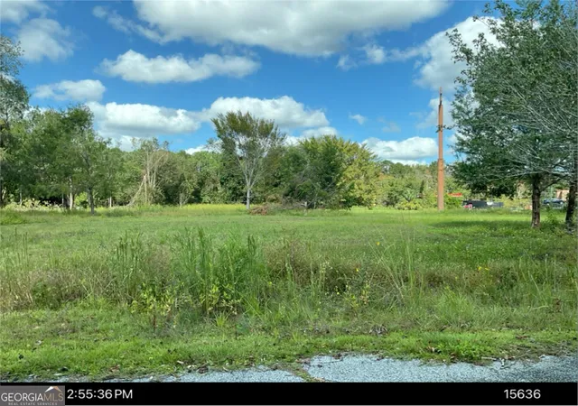 Homes for sale in Woodbine, GA | 1890 Harrietts Bluff Rd, Woodbine, GA 31569 | MLS# 10781200