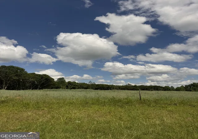 Homes for sale in Woodland, AL | 0 County Road 432 Lot 6 #L6, Woodland, AL 36280 | MLS# 10777941