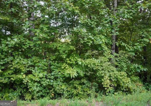 5th image of 0 Heavenly Cir, Clayton, GA 30525 | MLS# 10615813