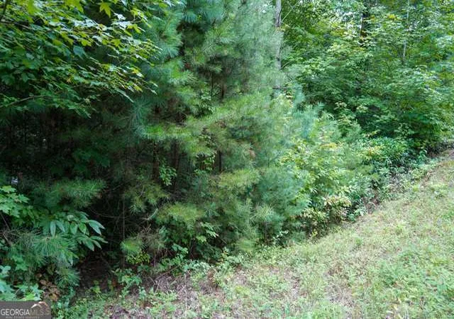 8th image of 0 Heavenly Cir, Clayton, GA 30525 | MLS# 10615813