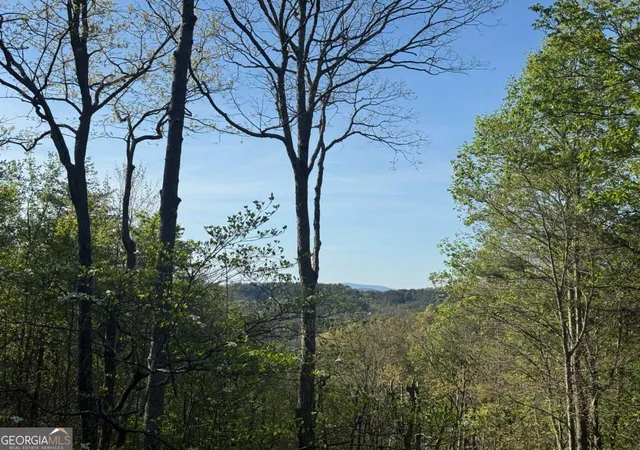 4th image of 1600 My Mountain Road, Morganton, GA 30560 | MLS# 10767725