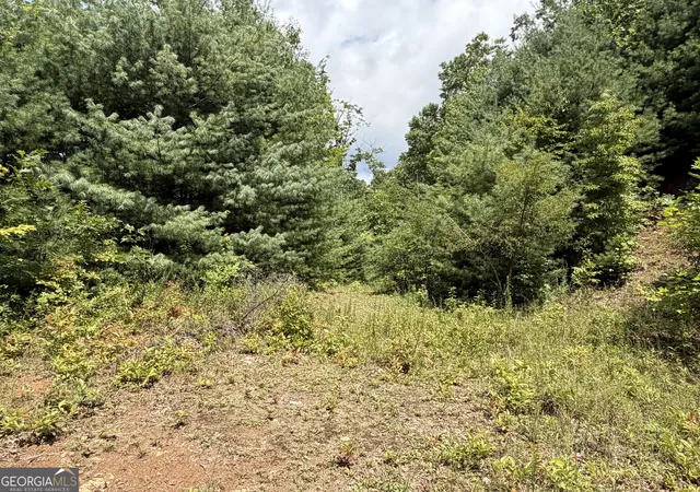 Photo 27 of Land for sale at 7129 Tantrough Farms, Hiawassee, GA 30546 | MLS# 10834982 | Listing updated on 2026-09-11