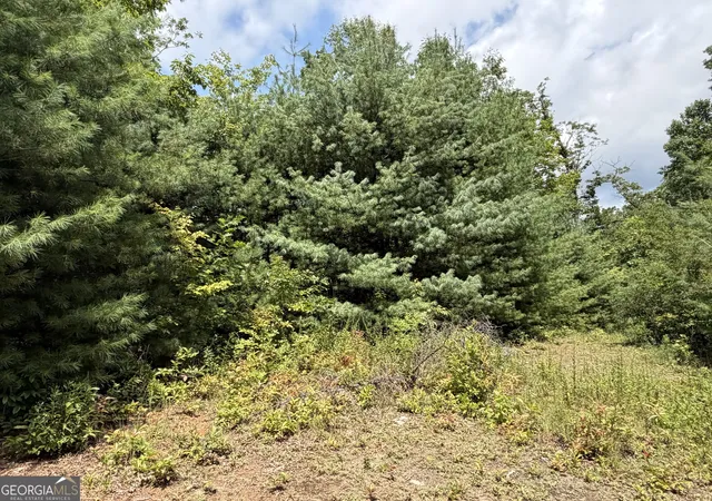 Photo 4 of Land for sale at 7129 Tantrough Farms, Hiawassee, GA 30546 | MLS# 10834982 | Listing updated on 2026-09-30
