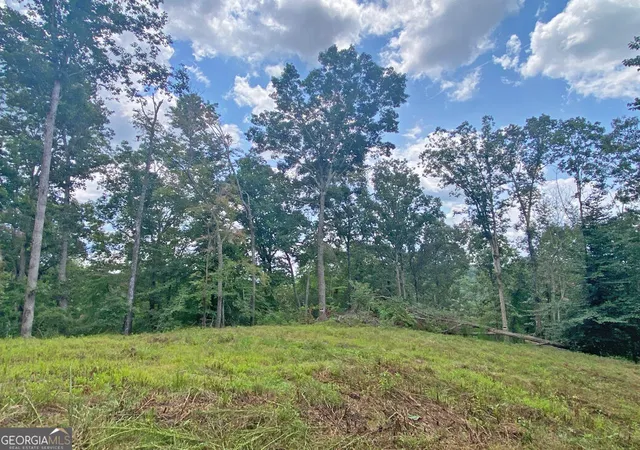 3rd image of 33Ac Trillium Trail, Dahlonega, GA 30533 | MLS# 10826353