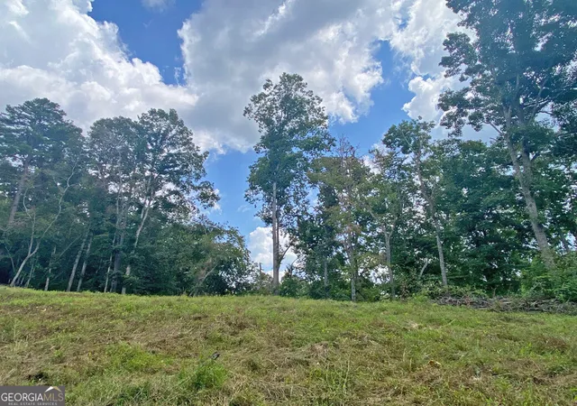 4th image of 33Ac Trillium Trail, Dahlonega, GA 30533 | MLS# 10826353