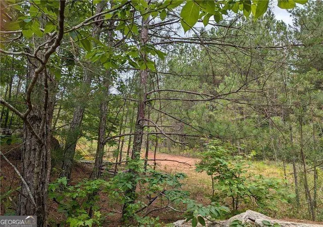 Photo 1 of Land for sale at 7900 Downs Rd, Winston, GA 30187 | MLS# 10806518 | Listing updated on 2026-07-30